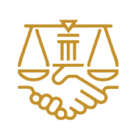 litigation litigation